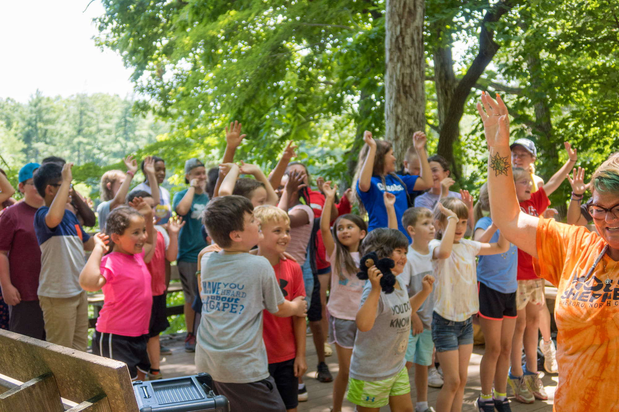 daycampheaderjpg image