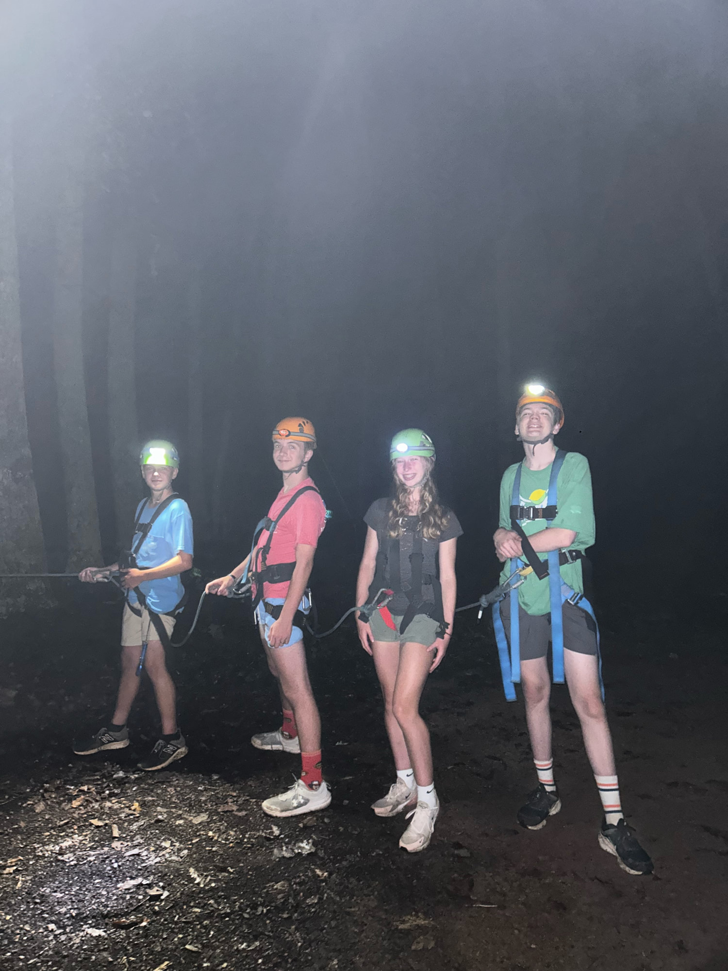 nightowlheader image